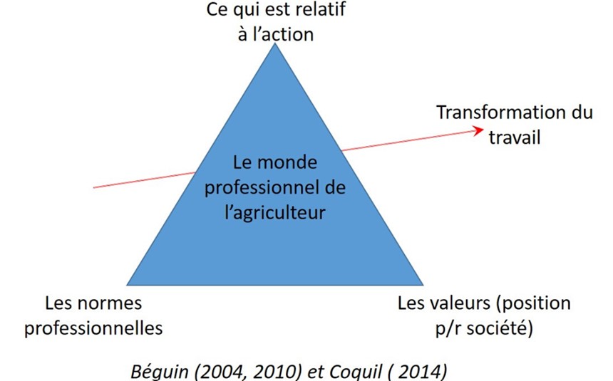 schema mondes professionnels