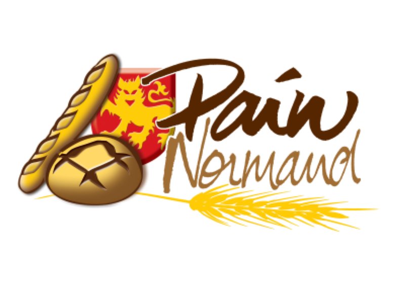 logo pain