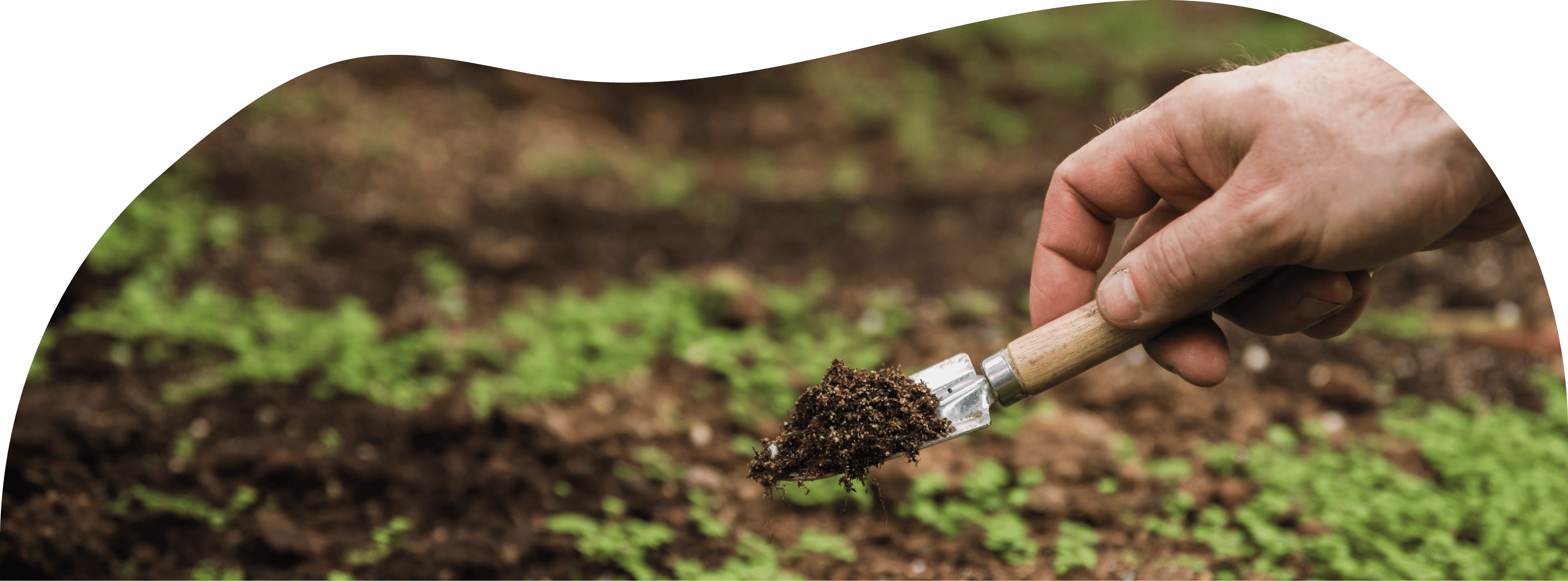 Bandeau 851X315 Fertilite Sols