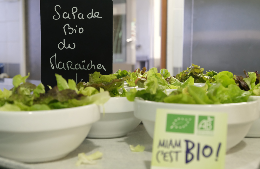 Salade Bio Du Maraicher